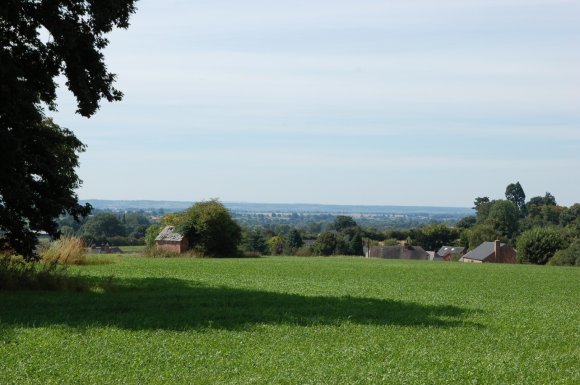 View across field