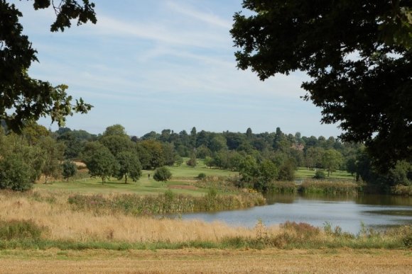 View across field