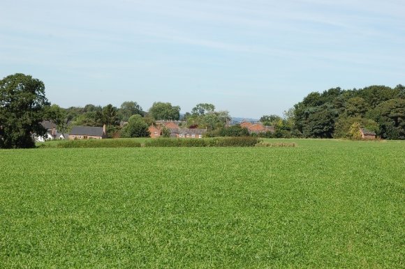 View across Parish