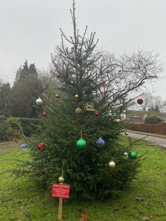 Ednaston Christmas Tree